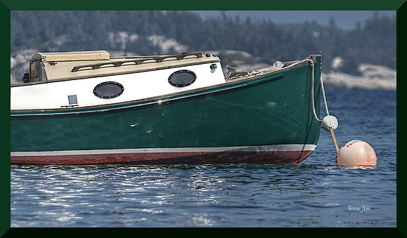Boats of Prospect - Doug DSC_0073_01