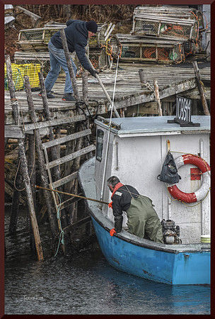 Hooking On DSC_9832
