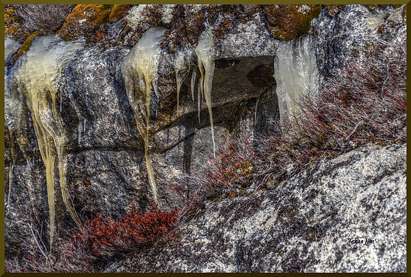 Granite Coast Runoff for web DSC_0679