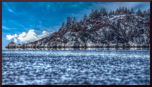Alligator Isle w sig-bord DSC_0926
