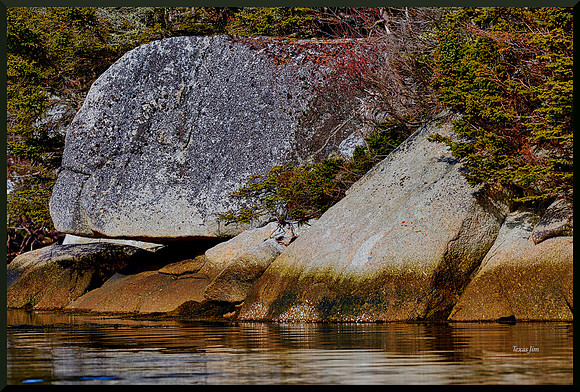 Granite Coast Portraits - Turtle w sig-bord for web DSC_0918