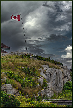 Maple leaf and stormy sky DSC_2769