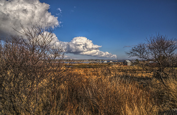 Field and Sky DSC_4234