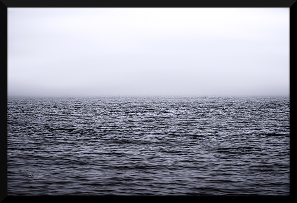 Fog and Ocean and That's All DSC_2846