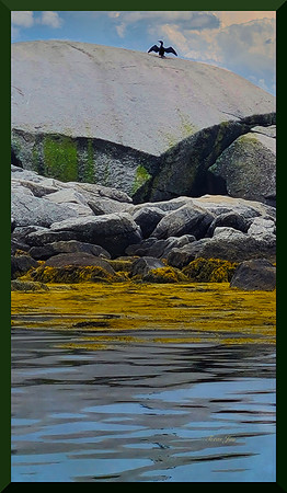 Shag Drying