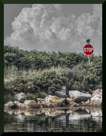 Signs of Wonder DSC_5189