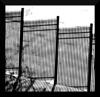 Cemetery Fence DSC_9658
