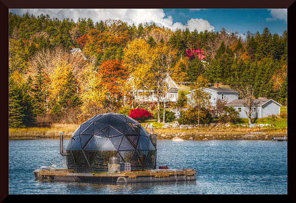 Floating World for web DSC_9163