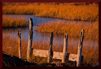 Where Once We Set Out DSC_9235