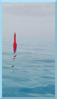 buoy