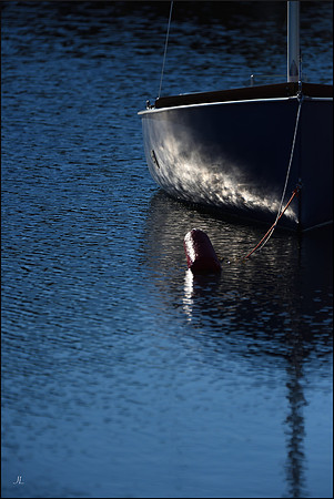 Blue Chip Morning w sig DSC_1698