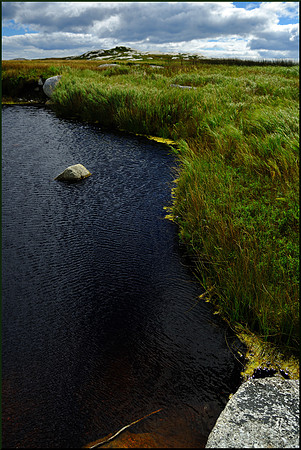 Marsh Pond - High Head Trail at The Alley w sig DSC_2514