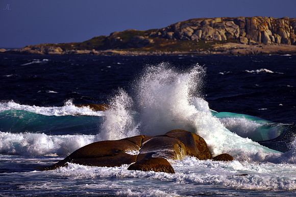 Breaker with Hopson Background w sig for web DSC_2728