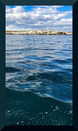 Ocean