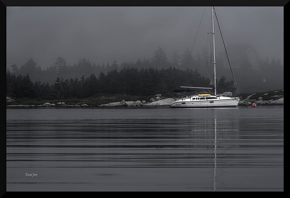 Moored in Fog DSC_5147