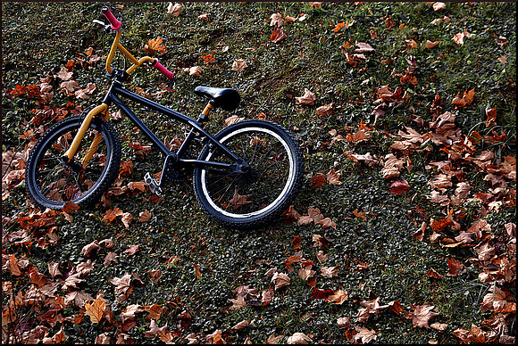Careless w sig DSC_3670