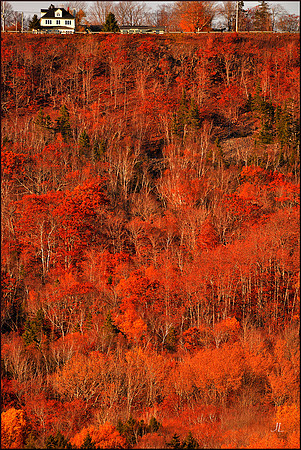 House on the Hill w sig for web DSC_3691