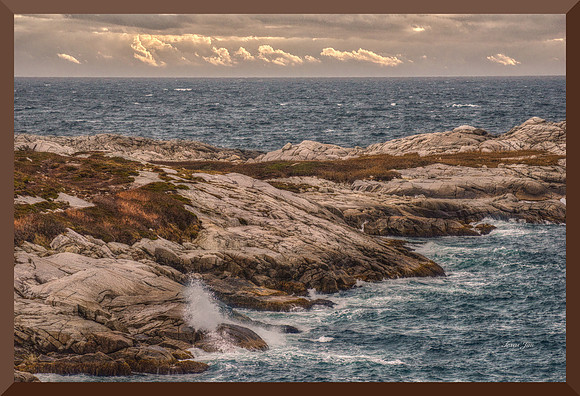 Shag Head for web DSC_9217