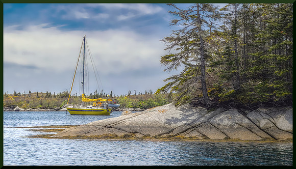 yellow boat for web