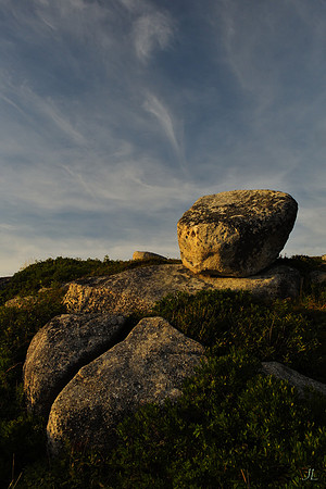 Erratic w sig DSC_1918