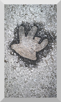 Glove in Winter