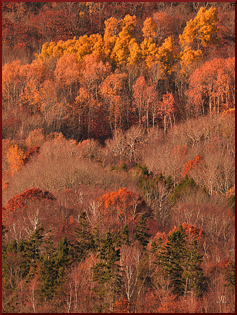 Kings County Hillside w sig for web DSC_3689