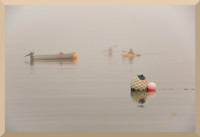 Meeting in the Fog DSC_0011