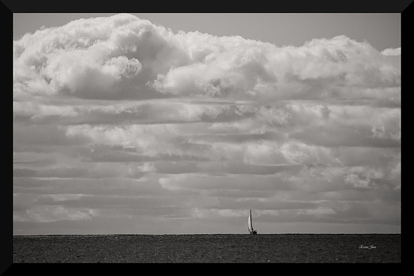 Lone Sail DSC_9115