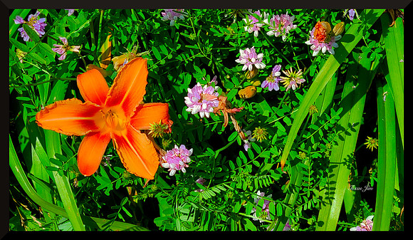 Natural Arrangement_upscale for web