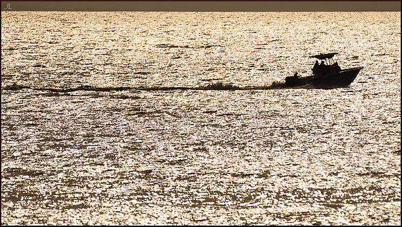 Silhouette at Sunset w sig DSC_1876