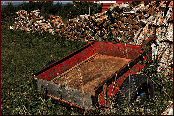 Wood Cart w sig DSC_2029