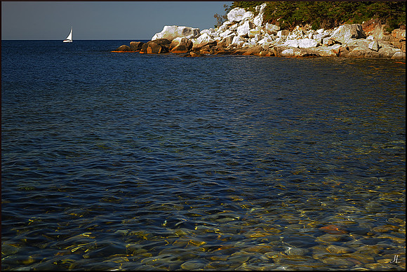 Sail Off Hearn Island w sig DSC_1729