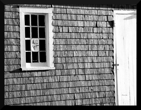 Love DSC_9290
