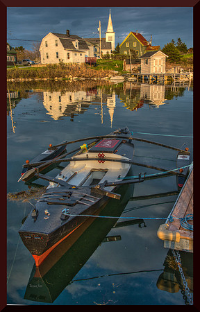 Black Swan at Dusk DSC_4871